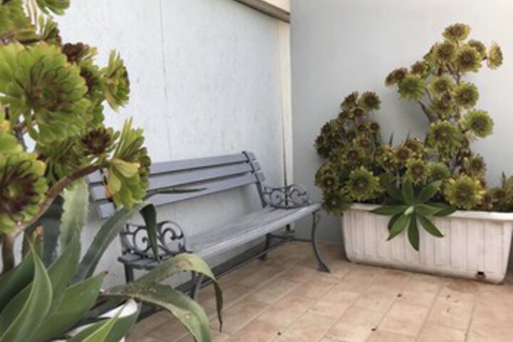 Terrace/Patio 53 of 55