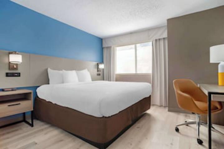 Room 46 of 213