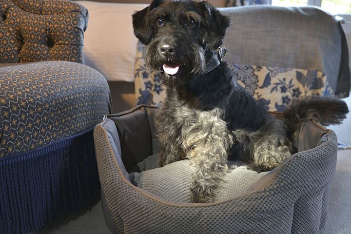 Pet Friendly 33 of 64