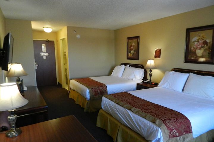 Standard Room, King or Two Doubles (2 of 5)