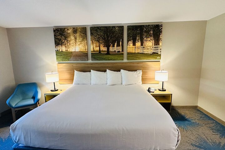 1 King Bed (5 of 19)