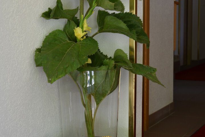 Hotel Interior 48 of 94