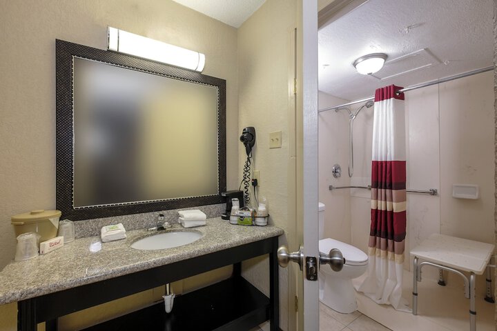 ADA Accessible Superior King with Roll in Shower (2 of 8)