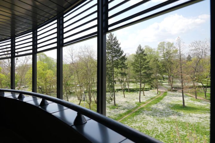 Terrace/Patio 38 of 38