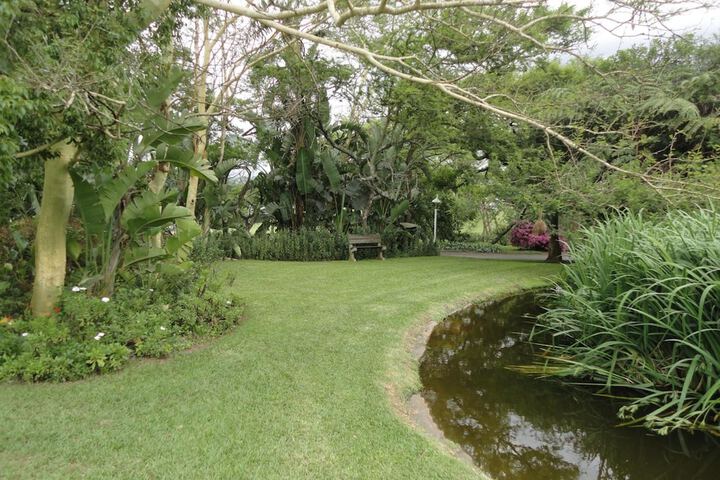 Property Grounds 43 of 57