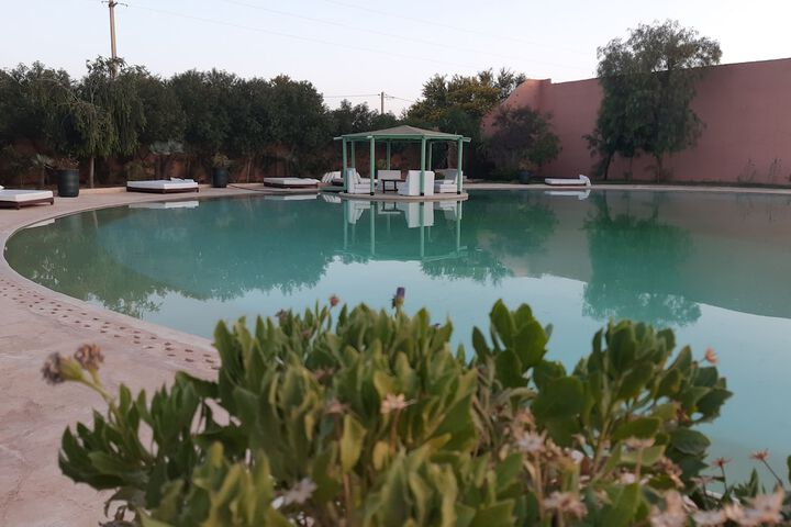 Pool 20 of 49