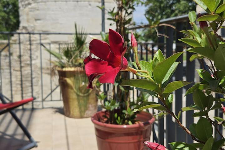 Terrace/Patio 66 of 123