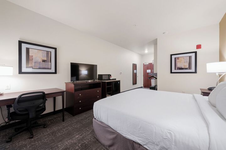 Guest Room Single King Bed Accessible (17 of 17)