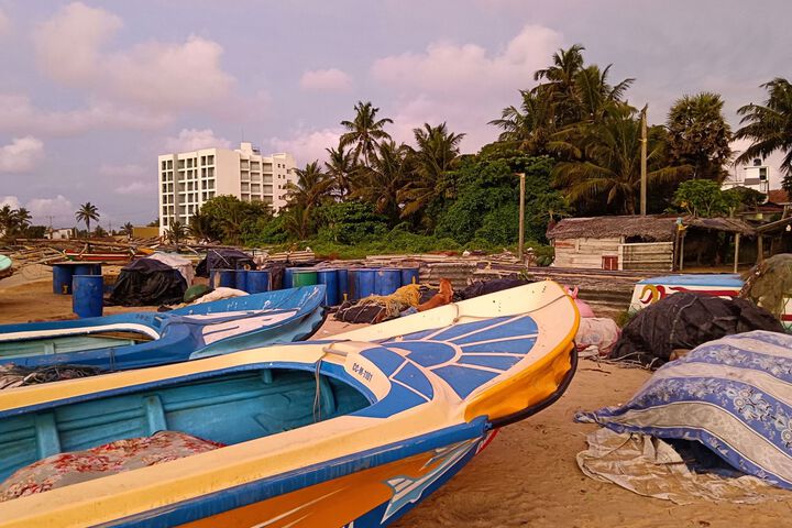 Beach 8 of 67