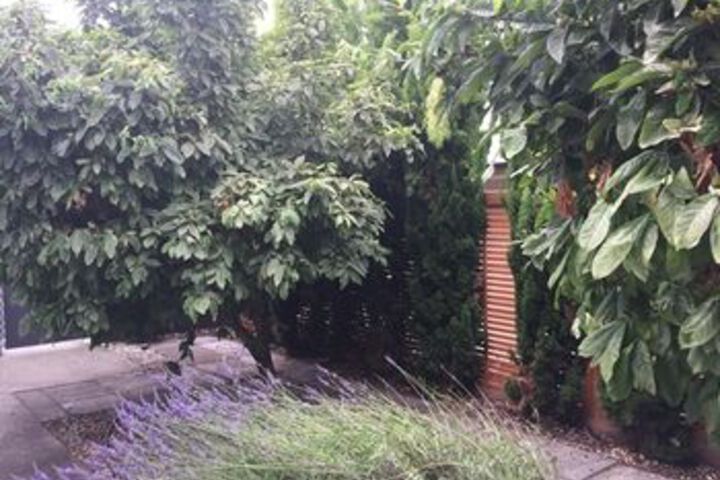 Property Grounds 15 of 17