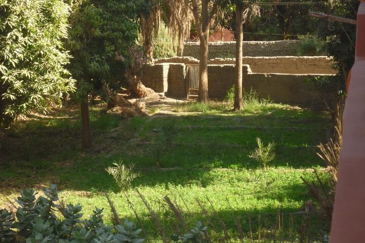 Property Grounds 20 of 41