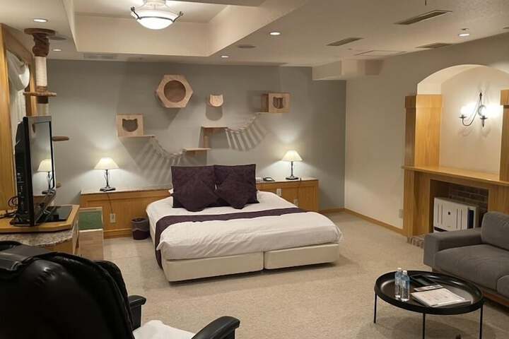 Room 22 of 239