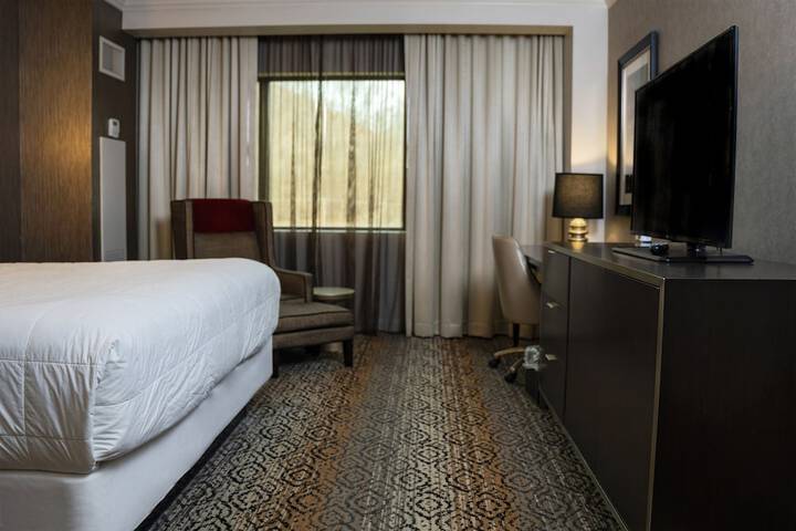 Deluxe Room 1 King Bed (3 of 4)