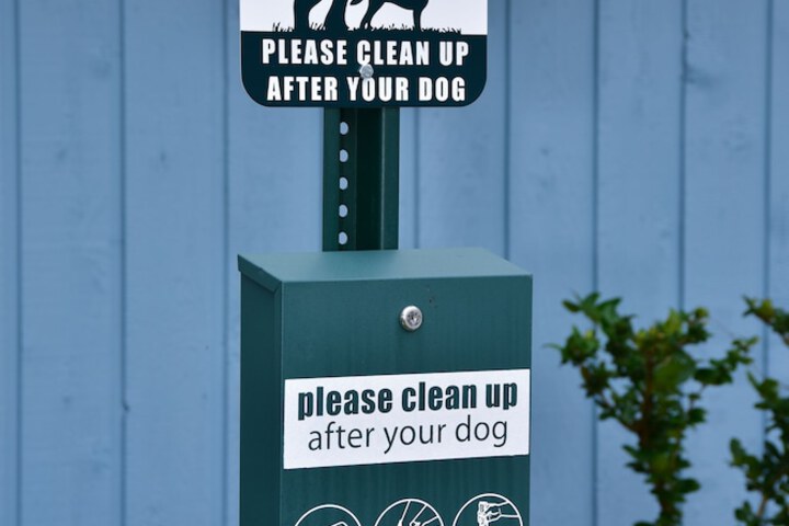 Pet Friendly 63 of 83