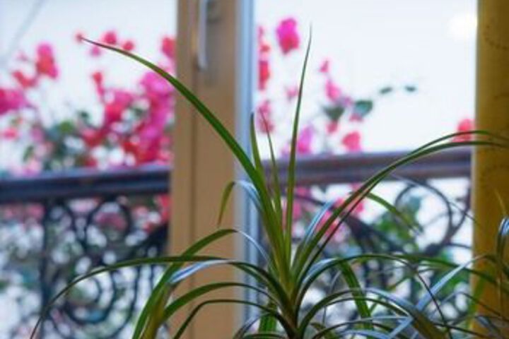 Terrace/Patio 3 of 10