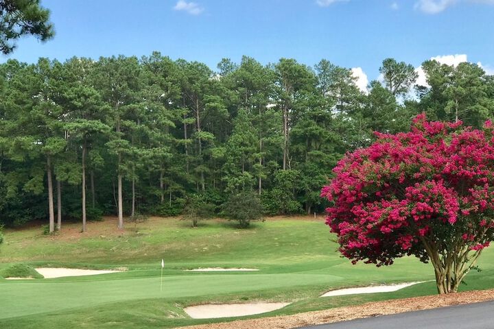 Golf 42 of 72