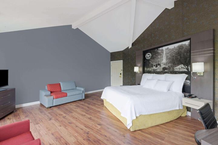 1 King Bed Accessible (18 of 31)