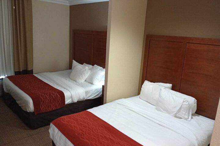 Basic Room 1 Queen Bed (17 of 22)