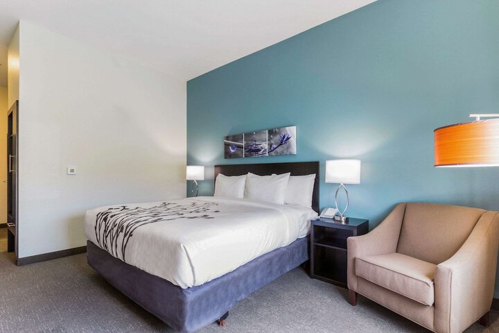 1 King Bed (4 of 16)