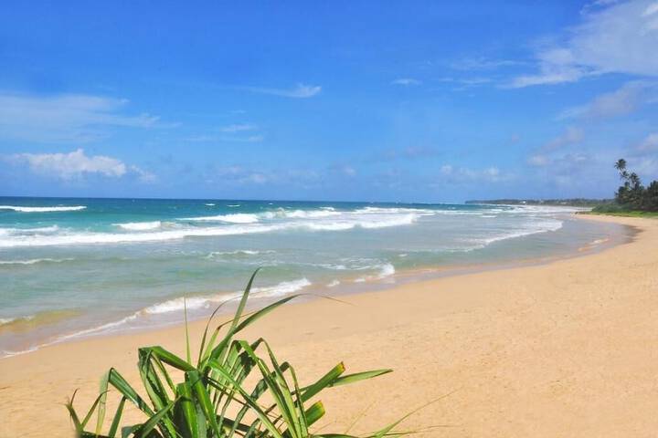 Beach 48 of 69