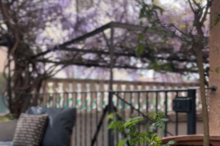 Terrace/Patio 33 of 59