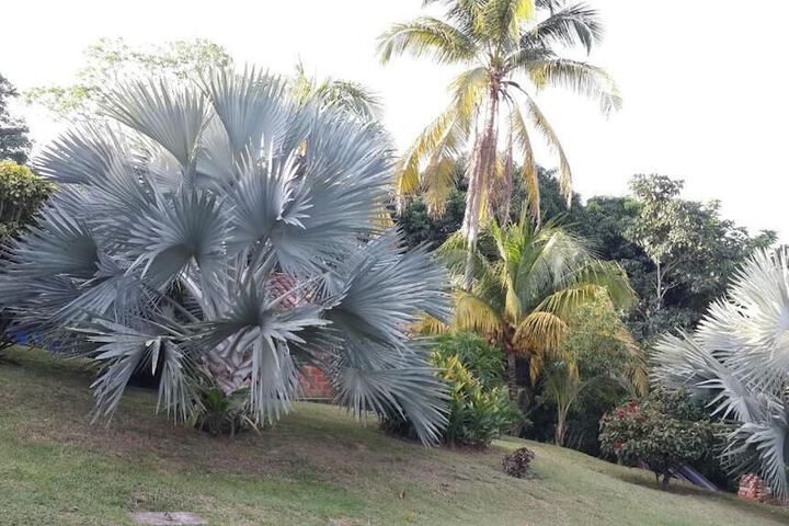 Property Grounds 32 of 40
