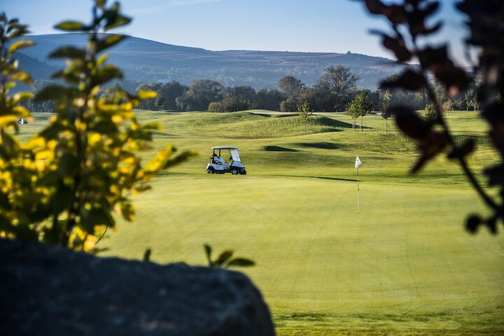 Golf 21 of 66
