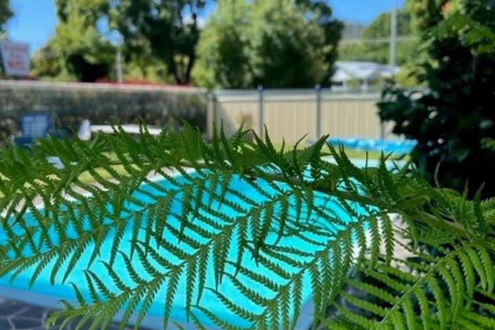 Pool to Cool