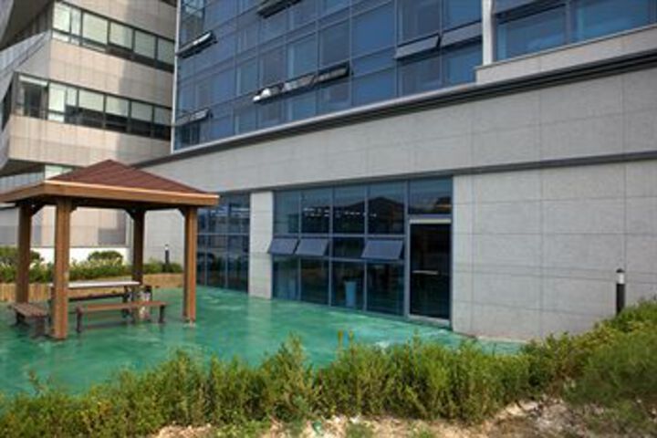 Terrace or Patio
