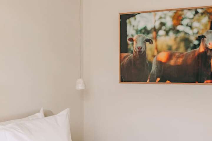 Hotel 185 of 186