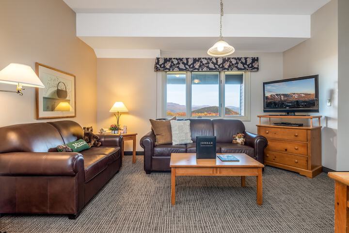Superior Queen Murphy Bed (7 of 10)