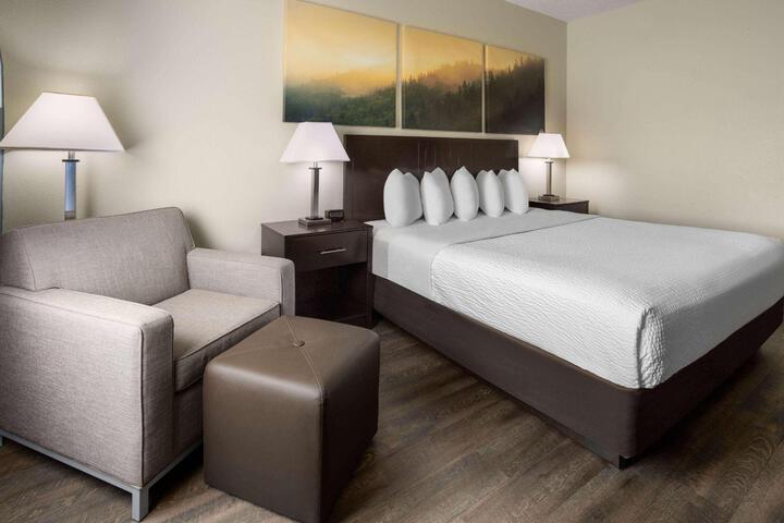 1 King Bed Mobility Accessible Bathtub with Grab Bars (18 of 21)