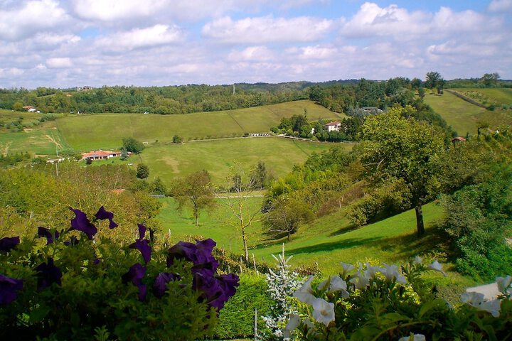 Spa and Wellness Pictures