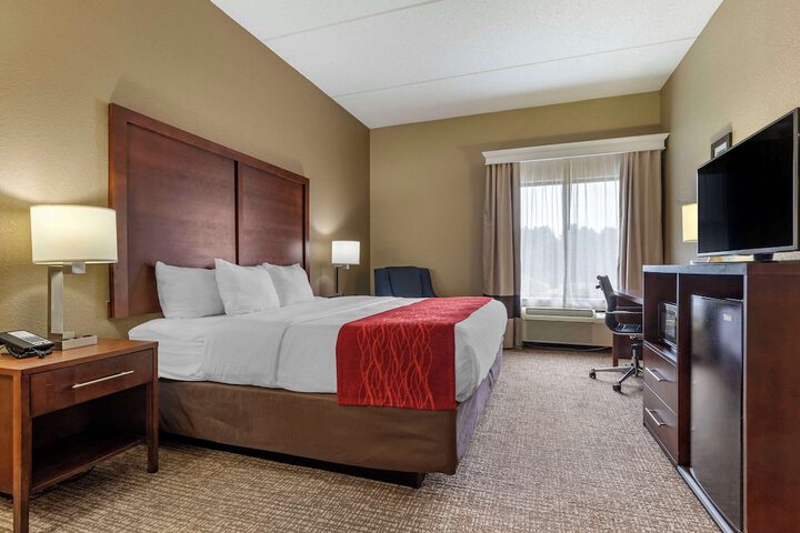 Standard King Bed Accessible (7 of 14)