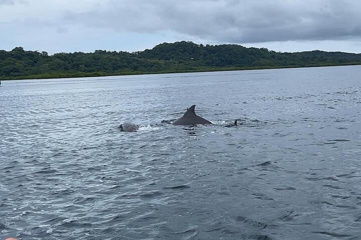 Hotel 88 of 108
