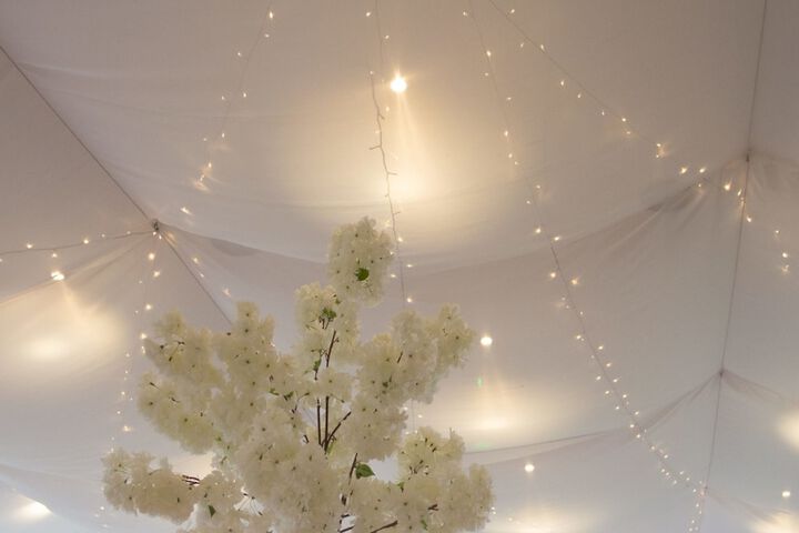 Wedding/Banquet 46 of 50