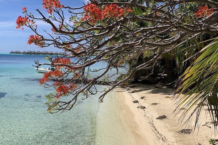 Beach 61 of 86