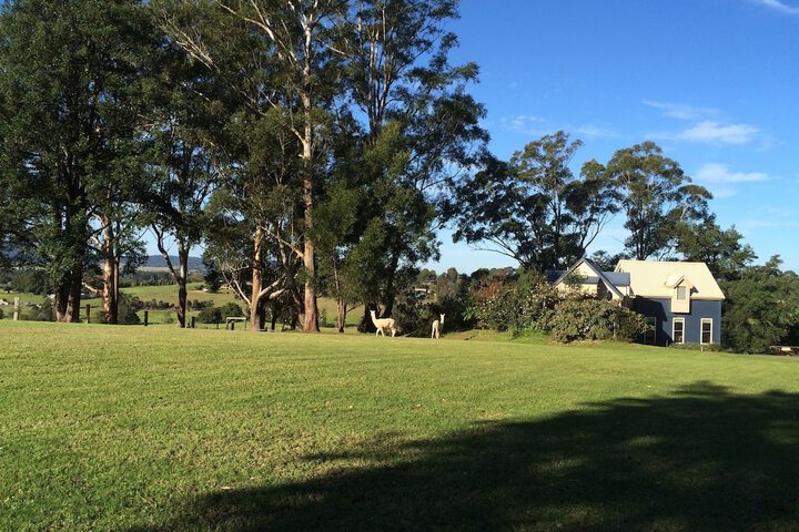 Property Grounds 35 of 41