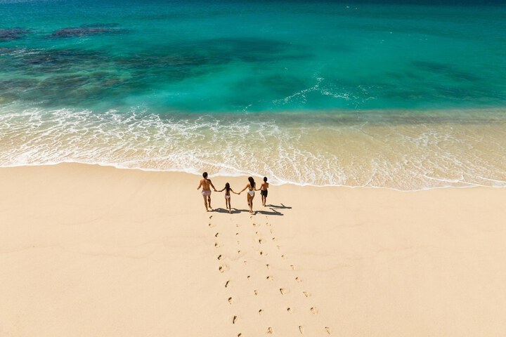 Beach 224 of 268