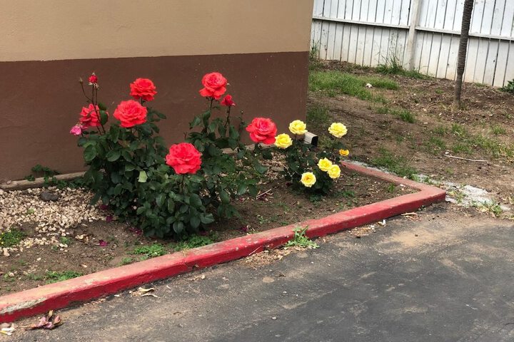 Property Grounds 22 of 31