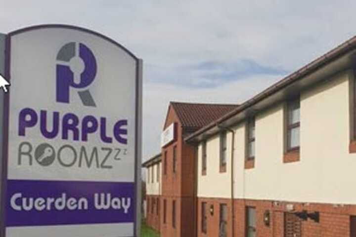 Purple Roomz