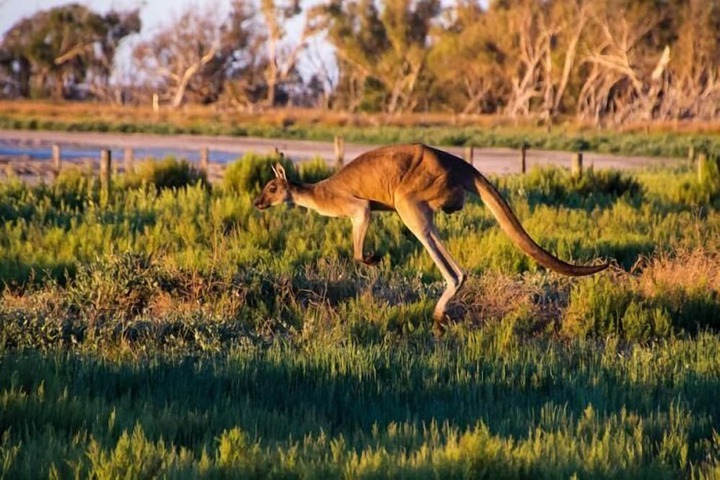 Property Grounds 43 of 55