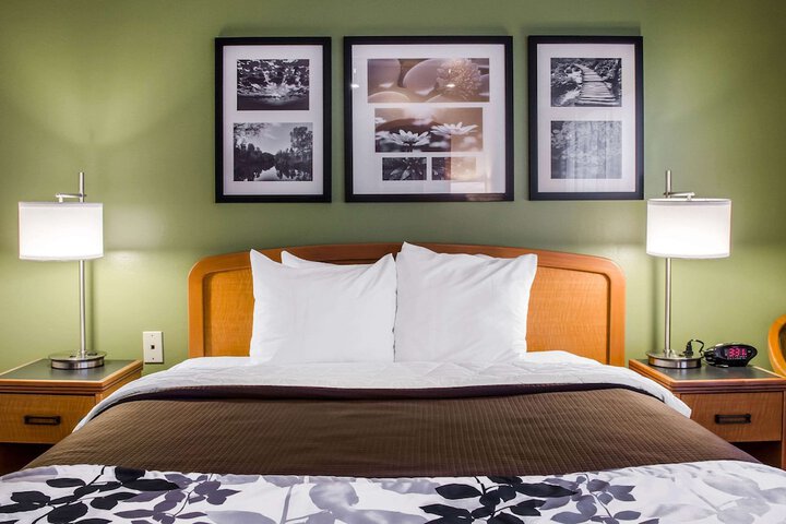 1 King Bed (12 of 13)