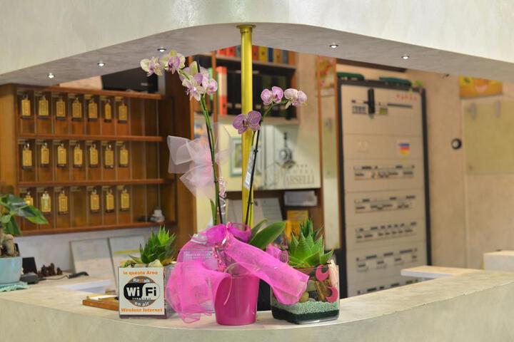 Spa and Wellness Pictures