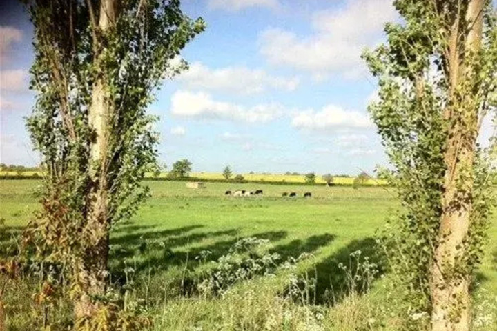 Photo 27