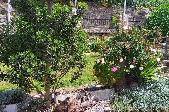 Photo 27