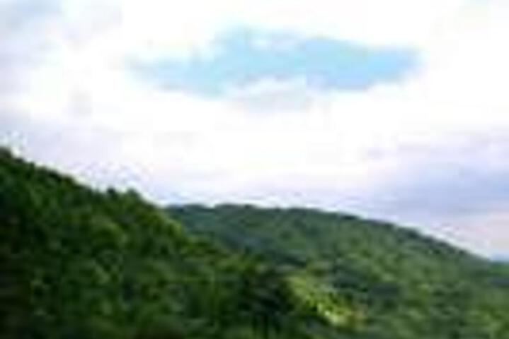 Miharashiya
