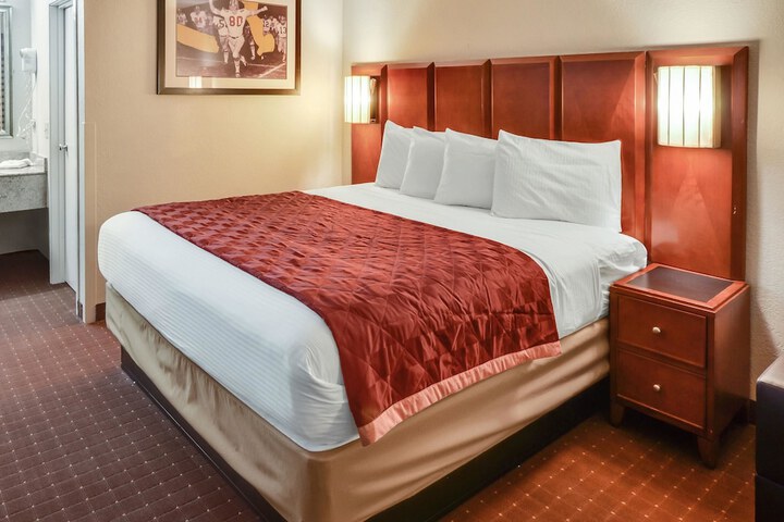 1 King Bed (8 of 9)