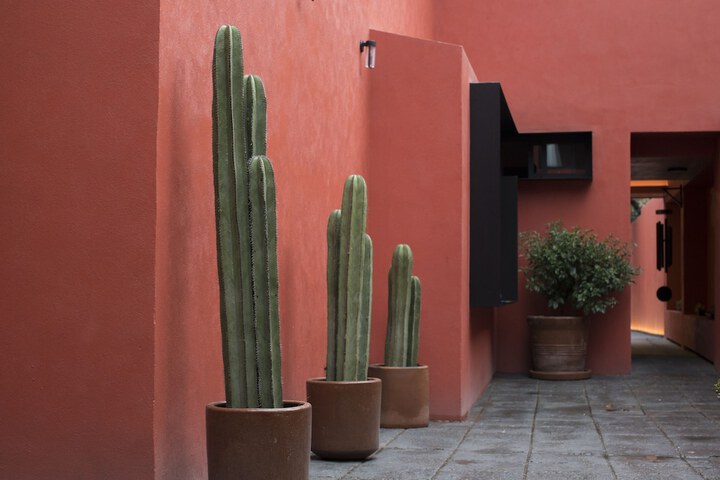 Hotel Exterior 126 of 130