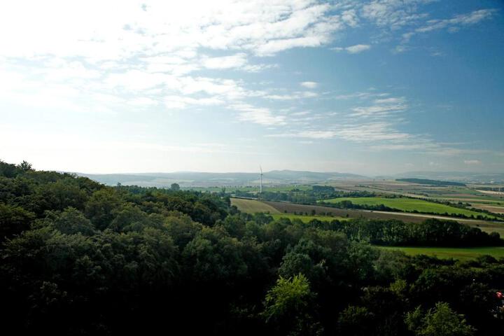 Photo 20